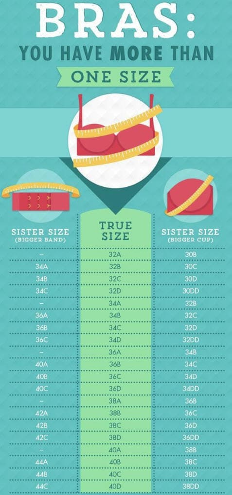 visual breast size comparison