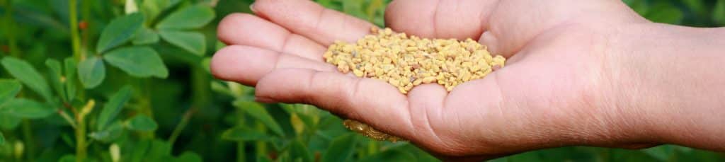 woman holding fenugreek